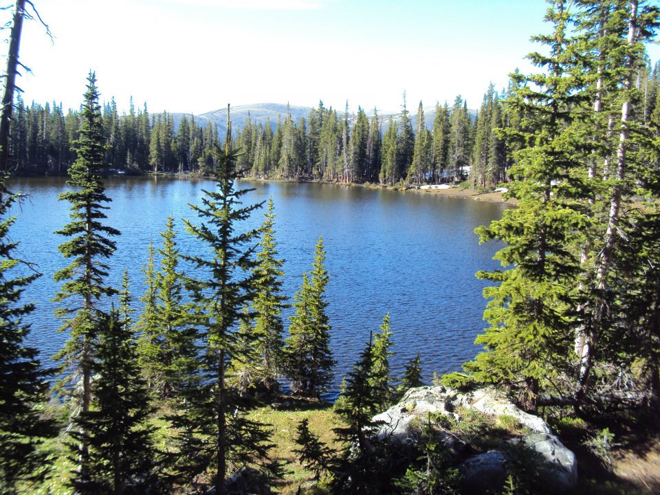 Forest Lake A Cool Mountain Lake!
