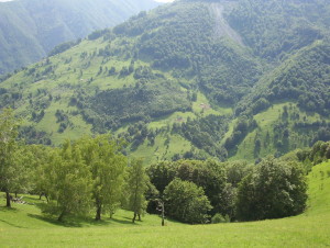 A favorite, beautiful Romanian hillside