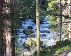 Water and lots of it remains a theme for Colorado in 2015