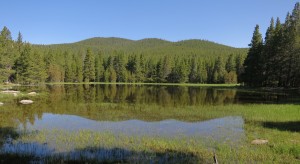 A boggy lake