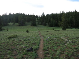 Open ground at 11,000'