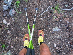 Trekking poles, Brooks Cascadia 9 trail runners with Road Runner Sports Insoles and Dirty Girl Gaiters are perhaps my most important gear. I'm blessed to rarely have foot discomfort.