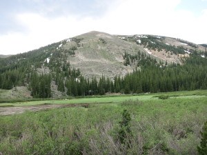 Open parks and subsequent views toward the high country around Mt. Yale