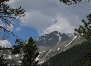 Looking at Mt Yale as I descend into the valley south.