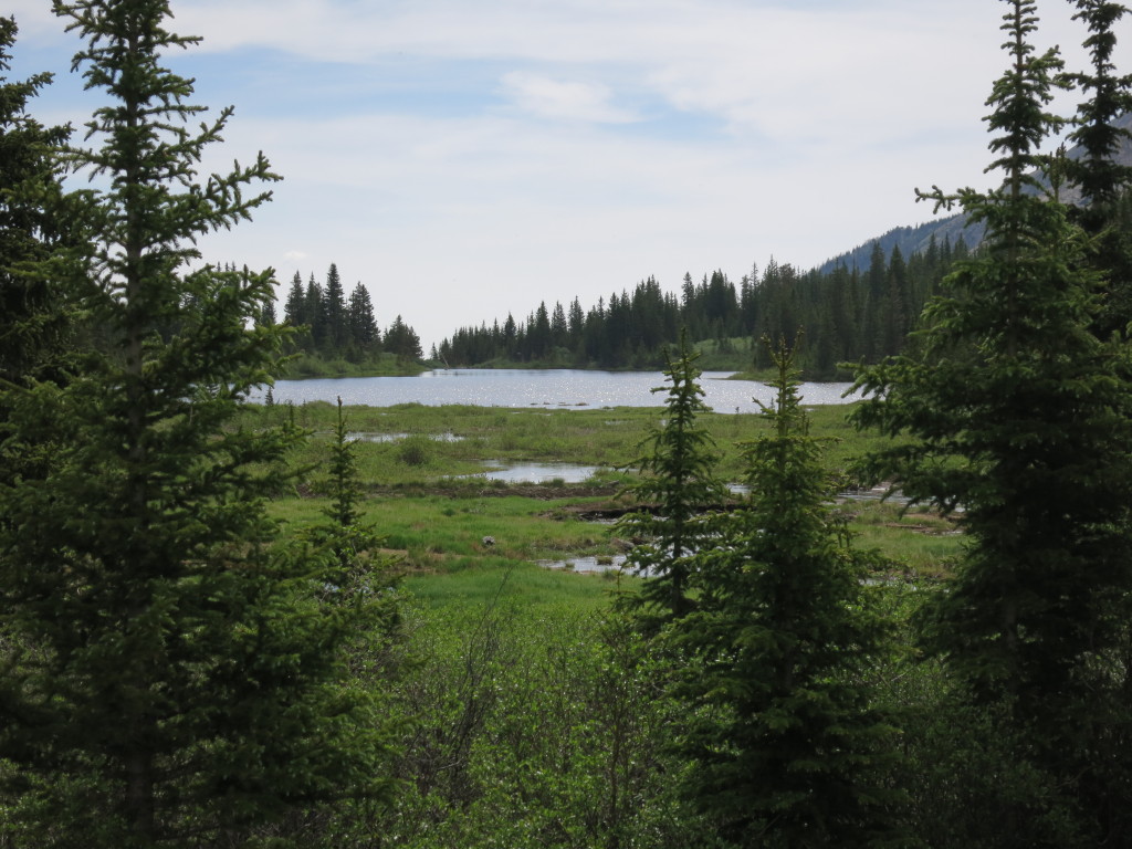 Browns Lake