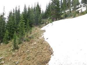 Snowpack still covers parts of trail on July 1st, but only barely.