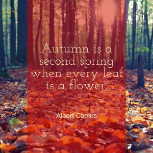 autumn-is-a-second-spring